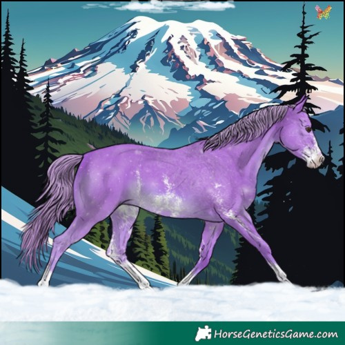 Horse Color:Watercolor Chestnut Sabino