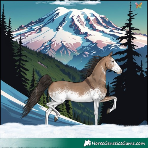 Horse Color:White Spotted Bay Dun 