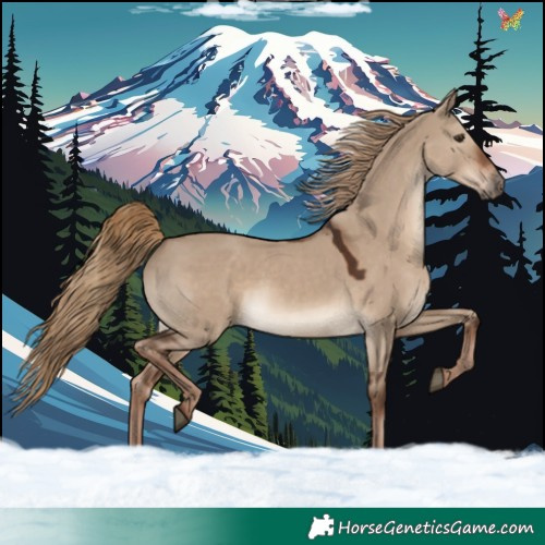 Horse Color:Liver Red Dun Rabicano 