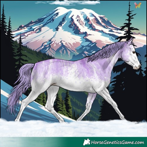 Horse Color:Watercolor White Spotted Red Dun Ice Sabino