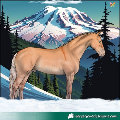 Horse Color:Silver Sable Champagne Dun Rabicano