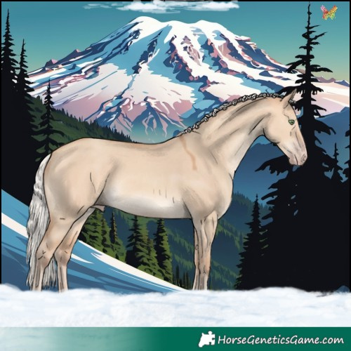Horse Color:Silver Amber Champagne Dun 