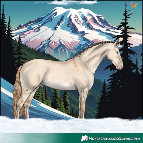 Horse Color:Gold Champagne Dun 