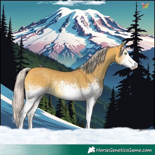 Horse Color:White Spotted Silver Amber Cream Champagne Dun Tobiano 