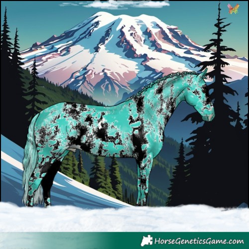 Horse Color:Watercolor Black Sabino Splash