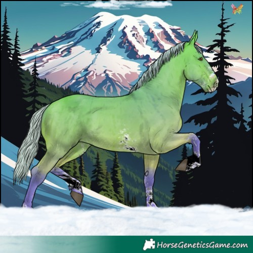 Horse Color:Watercolor Silver Buckskin Dun Sabino Brindle 