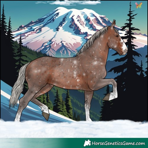 Horse Color:Silver Brown Sabino 