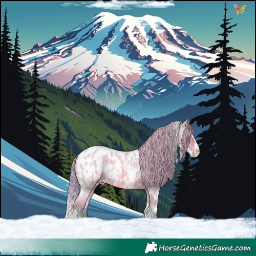 Horse Color:Watercolor White Spotted Red Roan Splash Appaloosa Rabicano