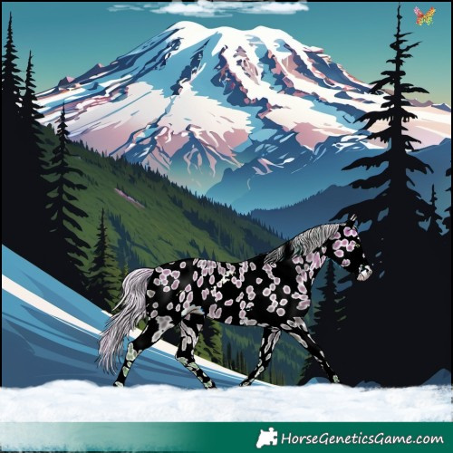Horse Color:Watercolor White Spotted Silver Sable Cream Champagne Sabino Appaloosa 