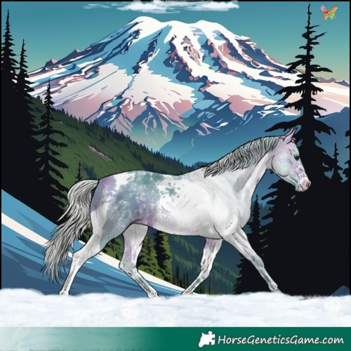 Horse Color:Watercolor Silver Bay Sabino Tobiano 