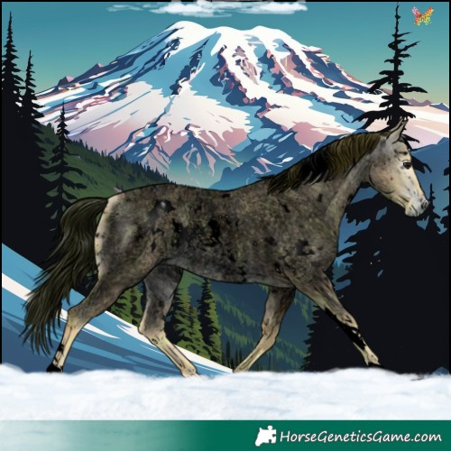 Horse Color:ERROR: UNKNOWN ANOMALY