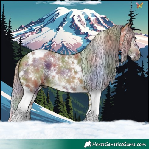 Horse Color:Gray Nacre Silver Bay Dun Sabino Tobiano