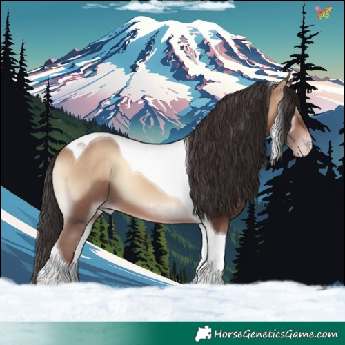 Horse Color:Sable Champagne Onyx Tobiano 