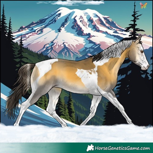 Horse Color:White Spotted Sable Cream Champagne Onyx Tobiano 