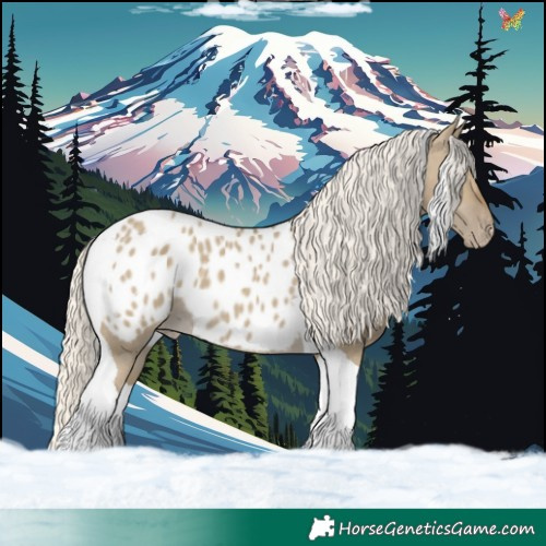 Horse Color:Silver Smoky Grullo Tobiano Blanket 