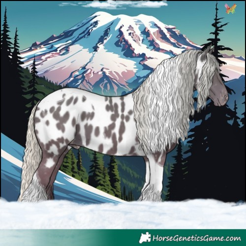 Horse Color:Silver Smoky Black Tobiano Appaloosa