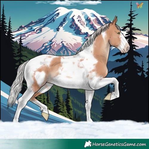 Horse Color:Silver Classic Champagne Tobiano Frame 