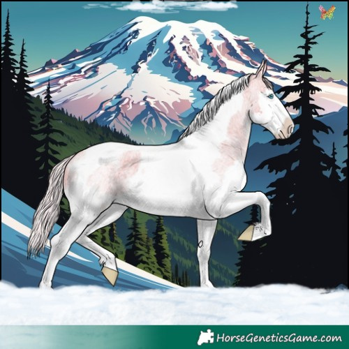 Horse Color:Silver Sable Cream Champagne Roan Splash Tobiano