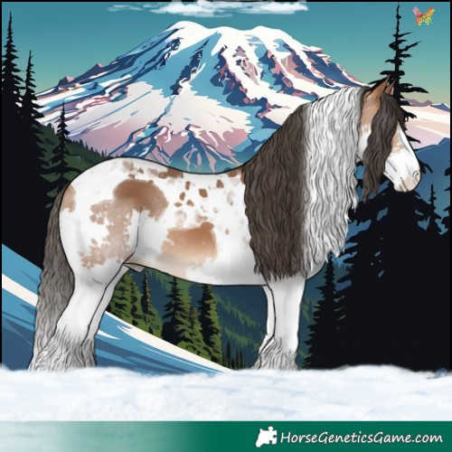 Horse Color:Bay Splash Tobiano
