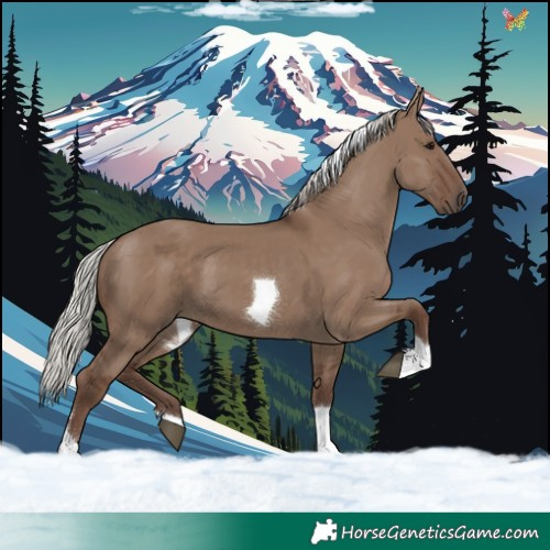 Horse Color:Silver Grullo Tobiano 