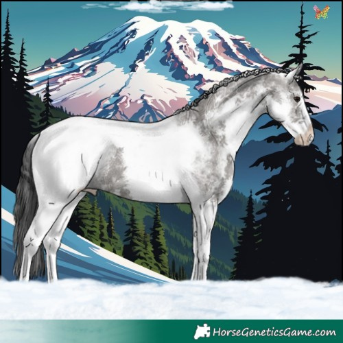 Horse Color:White Spotted Grullo Ice Tobiano
