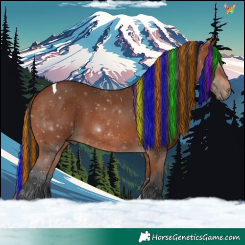 Horse Color:Painted Bay Tobiano 