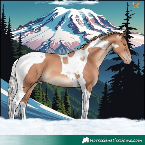Horse Color:Silver Classic Champagne Tobiano
