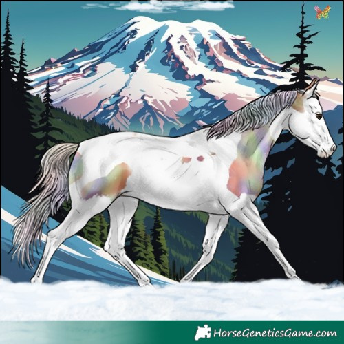 Horse Color:Nacre Silver Classic Champagne Onyx Splash Tobiano 