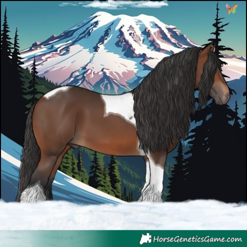 Horse Color:Brown Tobiano