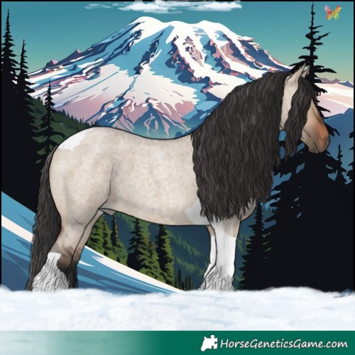 Horse Color:Brown Roan Dun Tobiano 