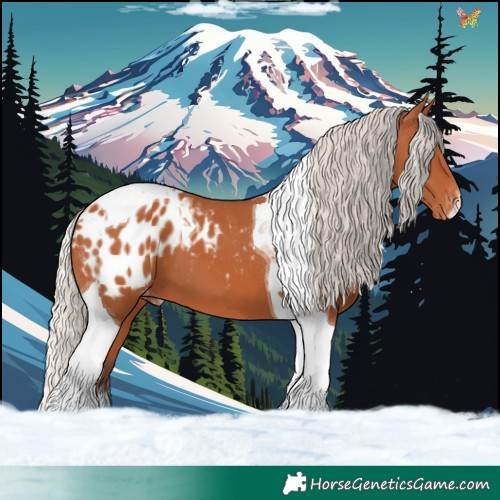 Horse Color:Silver Bay Tobiano Appaloosa