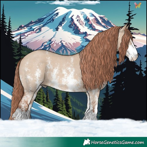 Horse Color:Red Dun Sabino 