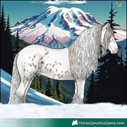 Horse Color:Silver Black Tobiano Appaloosa