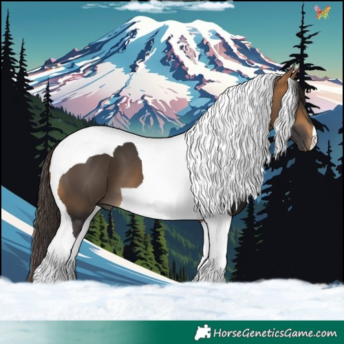 Horse Color:Buckskin Tobiano 