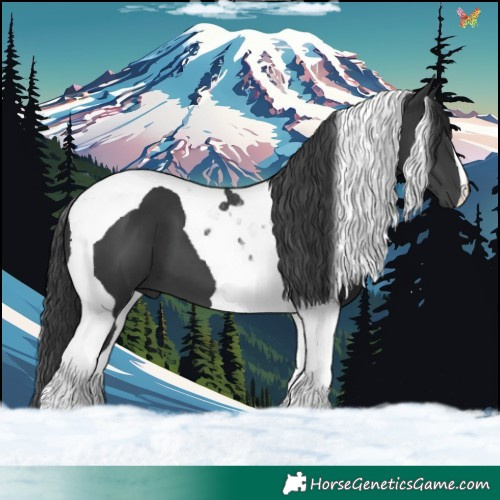 Horse Color:Black Tobiano 