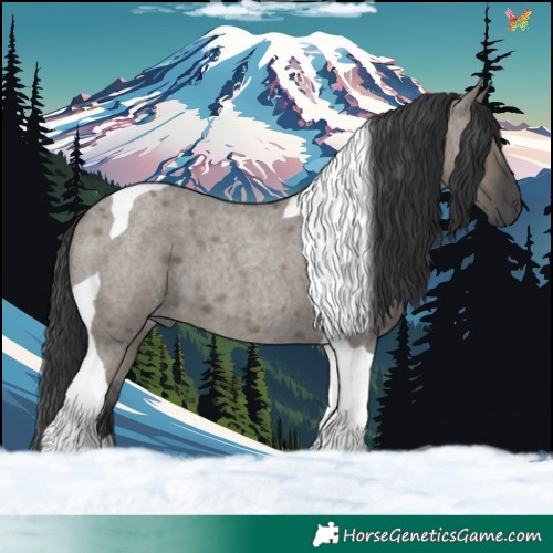 Horse Color:Grullo Roan Tobiano 