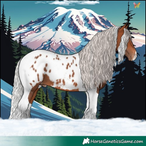 Horse Color:Silver Brown Tobiano Appaloosa