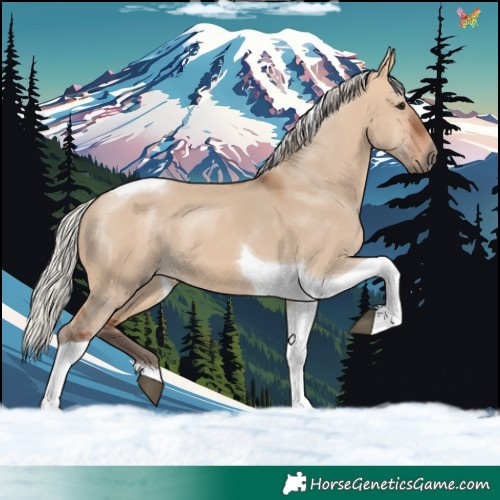 Horse Color:Silver Bay Dun Tobiano