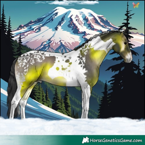 Horse Color:Blue Onyx Tobiano