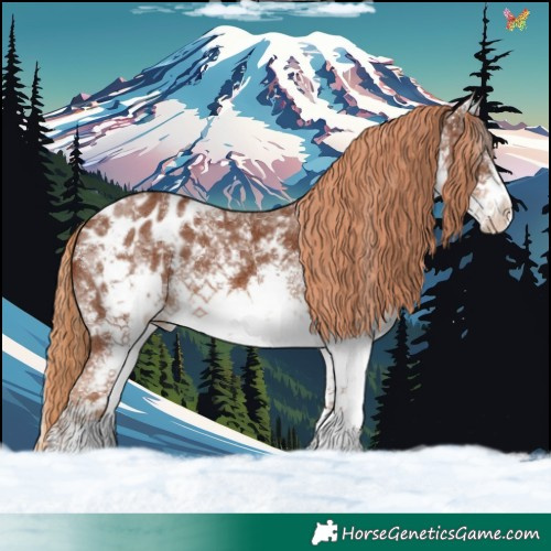Horse Color:White Spotted Chestnut Sabino Blanket