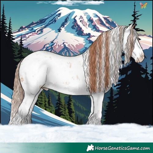 Horse Color:White Spotted Gold Champagne Sabino Appaloosa 