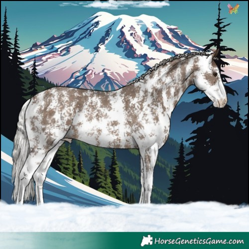 Horse Color:Silver Brown Dun Sabino