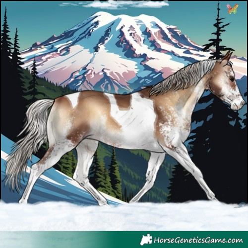 Horse Color:White Spotted Silver Brown Onyx Tobiano 