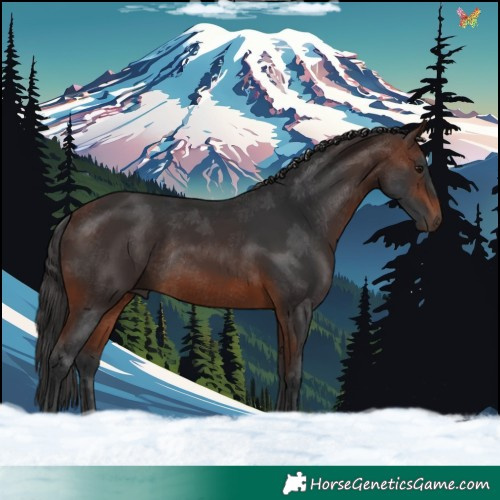 Horse Color:Brown Rabicano 