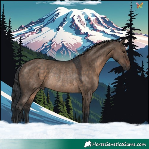 Horse Color:Brown Dun Rabicano 