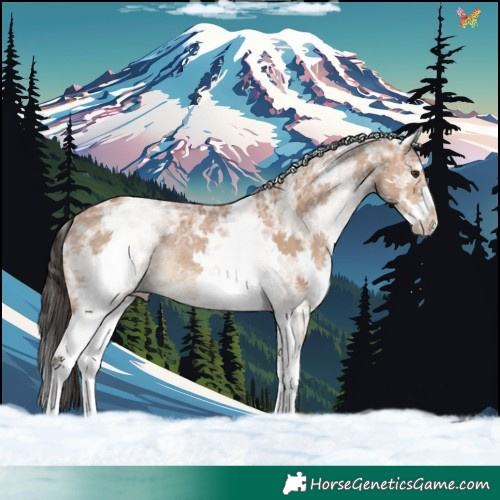 Horse Color:White Spotted Bay Ice Dun Rabicano 