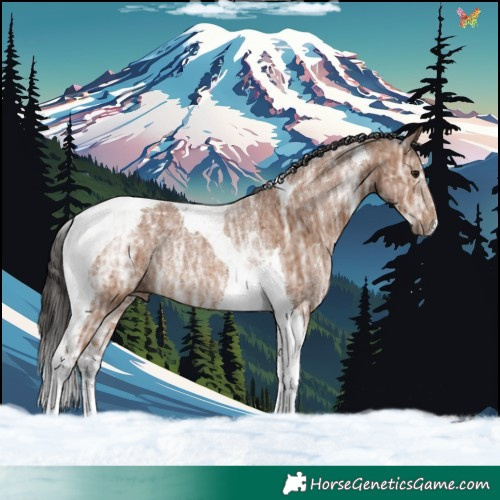 Horse Color:Bay Ice Tobiano Rabicano 