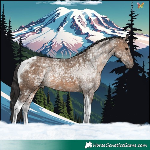 Horse Color:Brown Ice Dun Tobiano Rabicano 