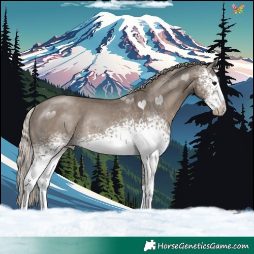 Horse Color:White Spotted Silver Grullo Rabicano 