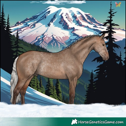 Horse Color:Silver Brown Dun Rabicano 